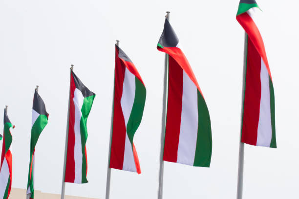 istock Multiple Kuwait national flags flying during the day at a event in Qatar 1209446105