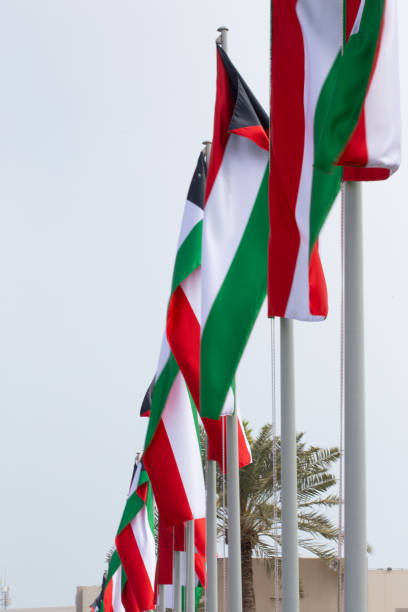 istock Multiple Kuwait national flags flying during the day at a event in Qatar 1209446141