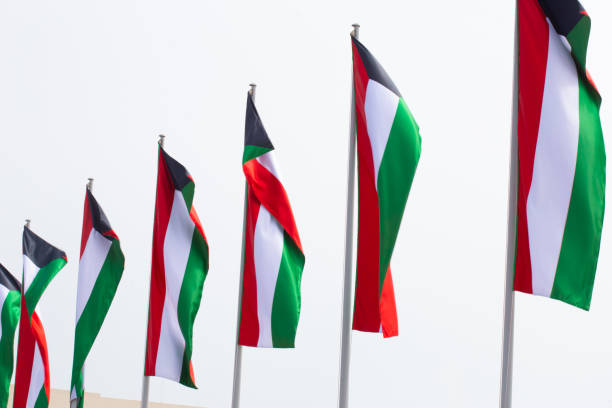 istock Multiple Kuwait national flags flying during the day at a event in Qatar 1209446157