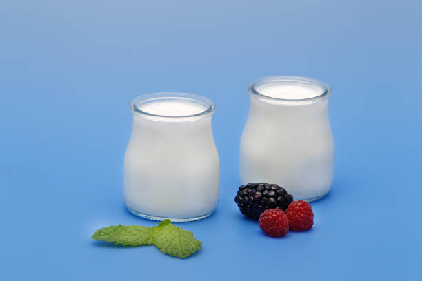 Tubs of natural yogurt, derived from cow's milk. Food product. Dairy product.