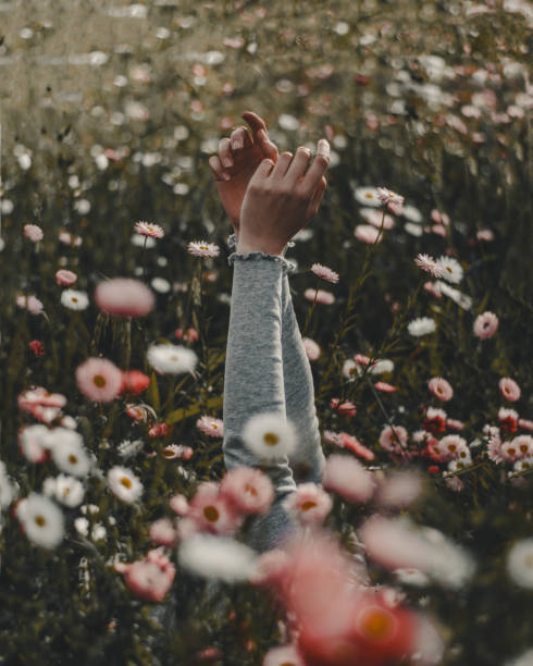 istock Hands in a field of flowers 1209454103