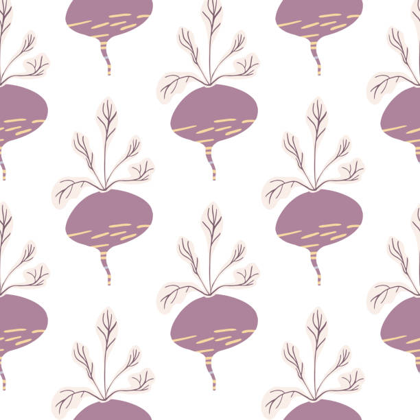 Beetroot Texture Illustrations, Royalty-Free Vector Graphics & Clip Art ...
