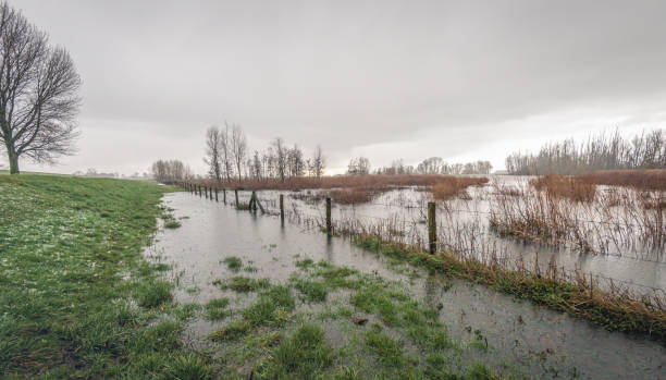 istock Flooded fence in a Dutch polder 1209455615