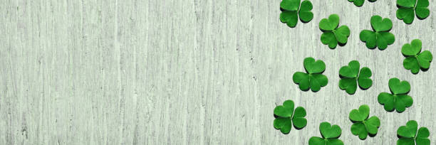 Pattern of shamrock leaves on shabby light green wooden background with free copy space. Pattern of shamrock leaves on shabby light green wooden background with free copy space. St. Patrick's Day, selective focus, , panorama view, banner. march month photos stock pictures, royalty-free photos & images