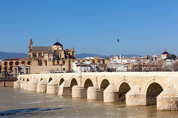 vieux pont romain sur les bords de la rivière guadalquivir de cordoue, espagne. - pont romain de cordoue photos et images de collection