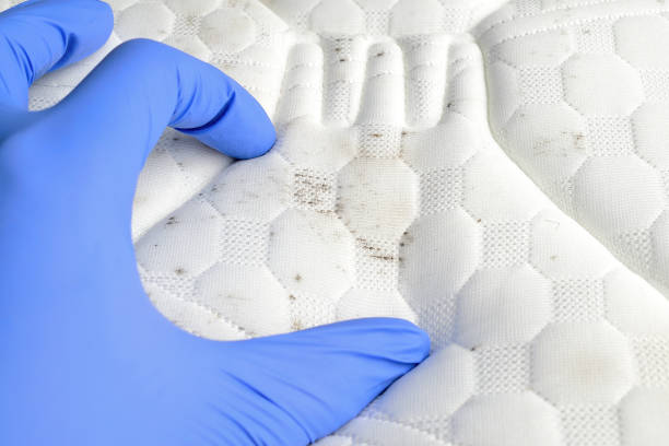 istock Hand showing mould and dirt spots on the mattress. 1209470241
