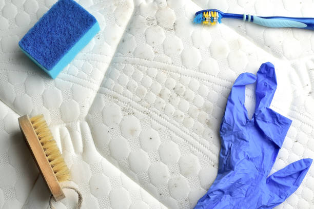 istock Removing mold stains from the mattress 1209470272