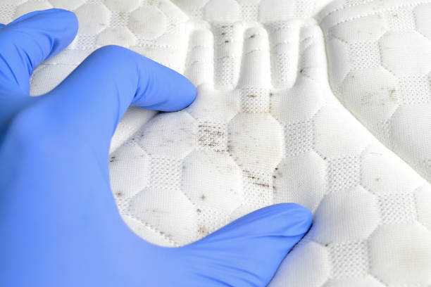 istock Hand showing mould and dirt spots on the mattress. 1209470278
