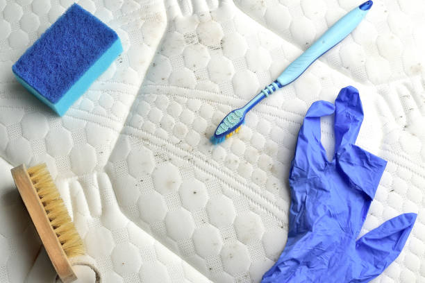 istock Removing mold stains from the mattress 1209470288