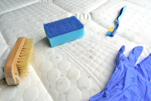 istock Removing mold stains from the mattress 1209470331