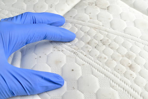 istock Hand showing mould and dirt spots on the mattress. 1209470335