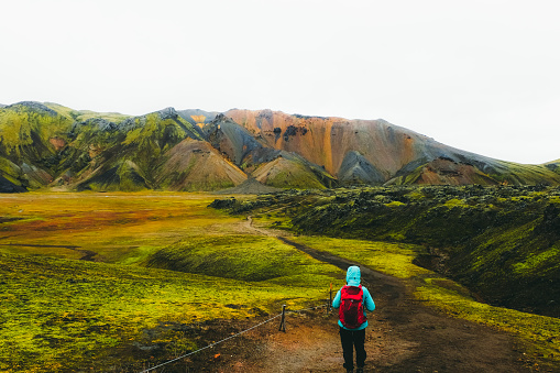 Young woman traveler in blue jacket and red backpack hiking at the wilderness, exploring the beautiful multi-colored geothermal valley with panoramic mountains and flower meadow at Landmannalaugar valley, Iceland