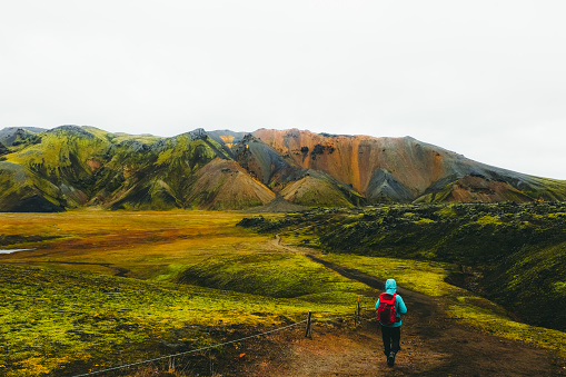 Young woman traveler in blue jacket and red backpack hiking at the wilderness, exploring the beautiful multi-colored geothermal valley with panoramic mountains and flower meadow at Landmannalaugar valley, Iceland