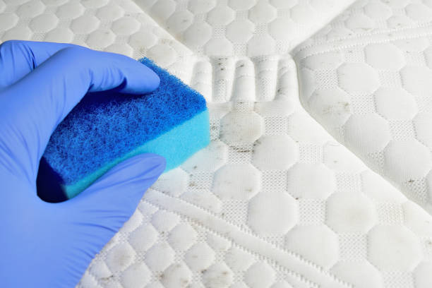 istock Cleaning mould stains 1209471267