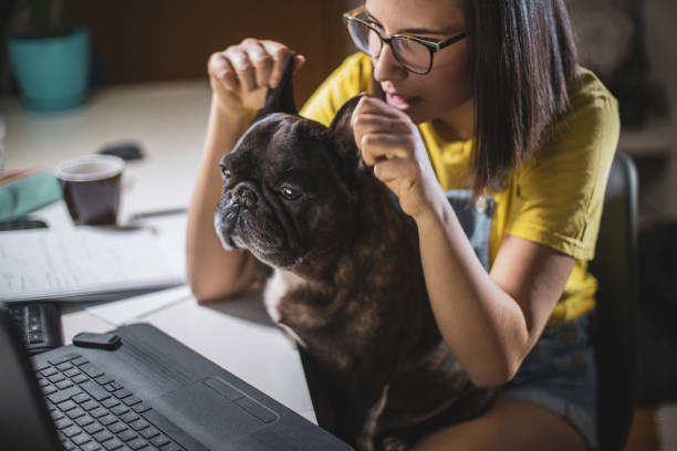 istock Young woman studying at home 1209473295