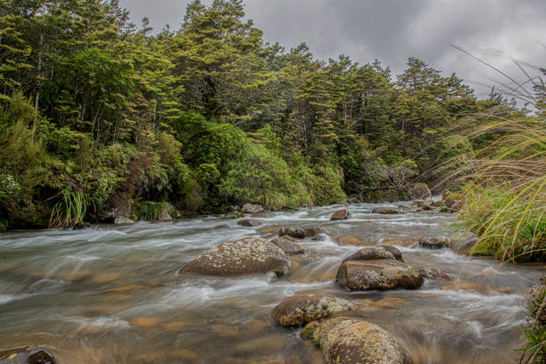 istock Tongariro National Park 1209479125