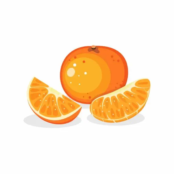 Vector illustration of Orange fresh fruit in piece and sliced illustration editable vector isolated in white background