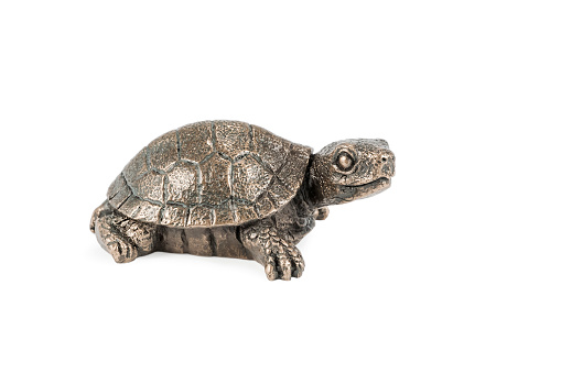 small bronze statuette of a turtle, head turned to the camera, isolated on white background