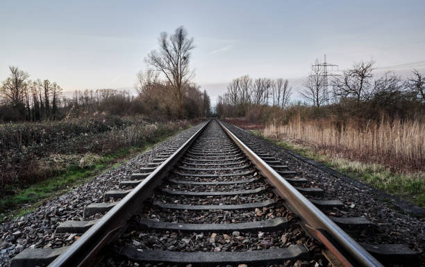 istock Train tracks and nature with bare trees and meadows against the blue sky 1209486074