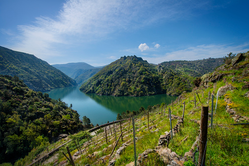 View from a viewpoint of the Ribeira Sacra from a vineyard