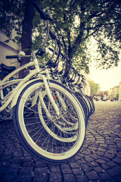 istock Renting bikes: Parking bikes for exploring the city, tourist attraction 1209488450