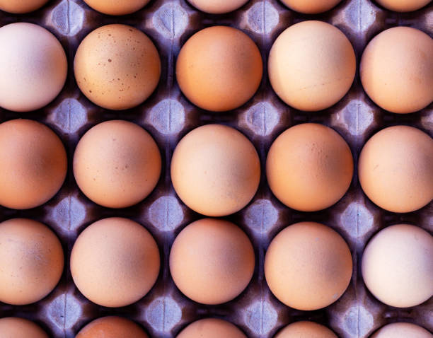 istock Brown chicken eggs in a carton box top view 1209494766
