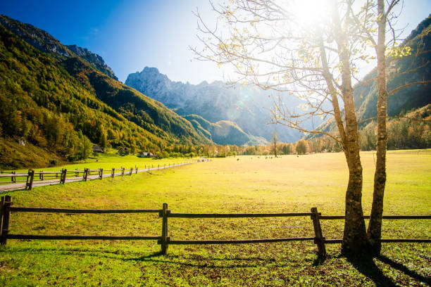 istock View on sunny Logarska valley, Slovenia 1209504390