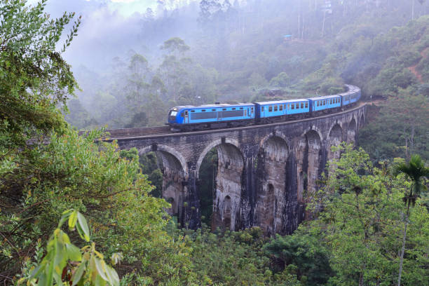 istock Train on the Nine Arches Demodara Bridge 1209505526