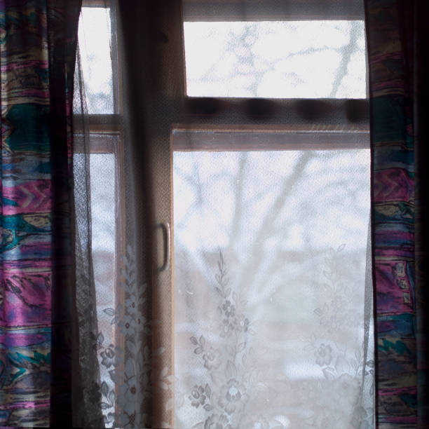 istock Winter landscape behind the wiindow 1209510433