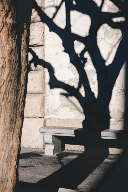 istock wood, reflexes and shadows, italy 1209516189