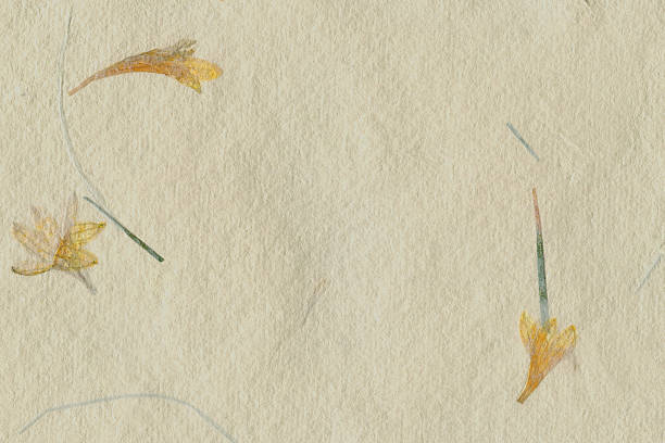 Antique blank page with Chapter VII.
