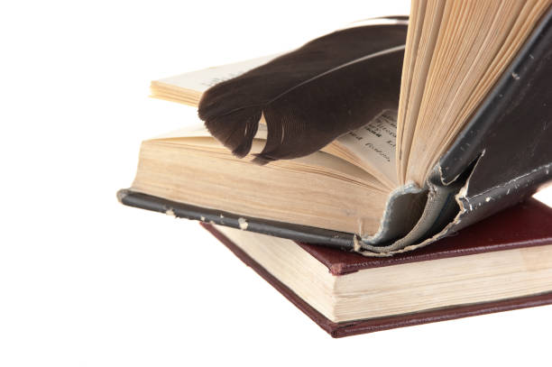 istock stack of books and quill isolated on white background 1209523684