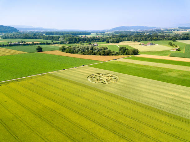 Crop circle emerged overnight in a farm field Canton Bern, Switzerland - July 05, 2019: mysterious crop circle emerged overnight in wheat field with beautiful pattern. Nobody claims for the work. crop circle stock pictures, royalty-free photos & images