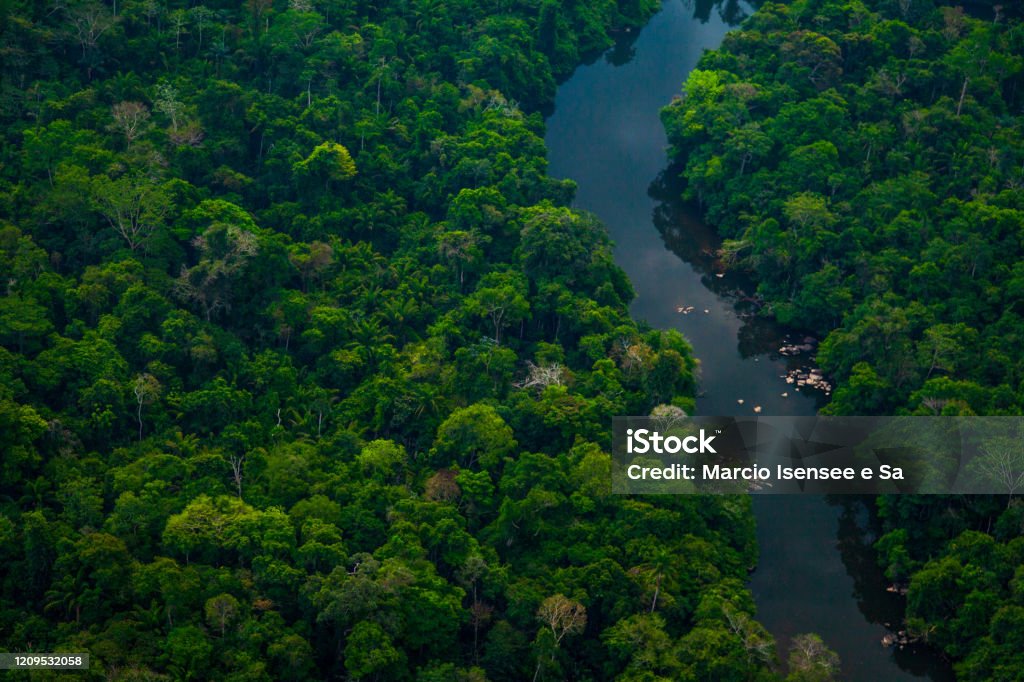 The Jamanxim River, Amazon Rainforest in the the Jamanxim National Forest. Pará - Brazil Forest Stock Photo