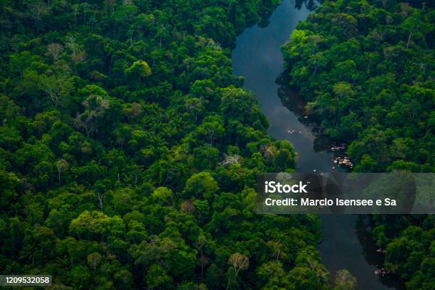 The Jamanxim River Amazon Rainforest In The The Jamanxim National Forest Pará Brazil Stock Photo - Download Image Now