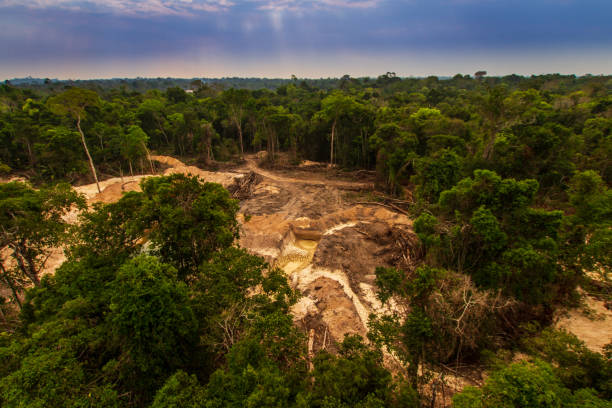 불법 채굴은 멘크라그노티 원주민 토지 근처의 아마존 열대우림에서 삼림 벌채와 하천 오염을 일으킵니다. - 파라, 브라질 - 아마존 지역 뉴스 사진 이미지
