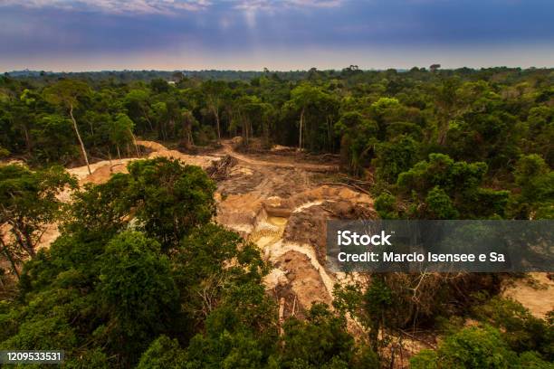 Illegal Mining Causes Deforestation And River Pollution In The Amazon Rainforest Near Menkragnoti Indigenous Land Pará Brazil Stock Photo - Download Image Now