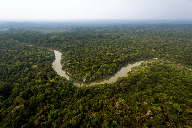 Curuaés River flows through the Menkragnoti Indigenous Land in amazon Rainforest - Pará, Brazil stock photo