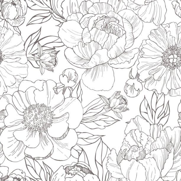 Hand drawn peonies. Vector  pattern. Hand drawn peonies. Vector seamless  pattern. flower drawings stock illustrations