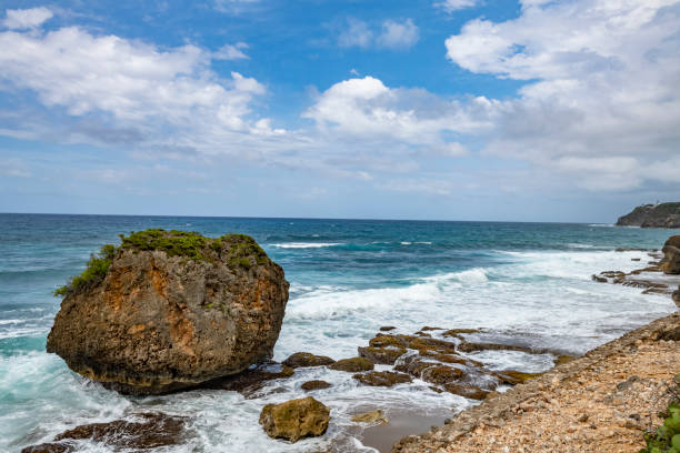 istock Puerto Rico - Guajataca Beach Area 1209537318