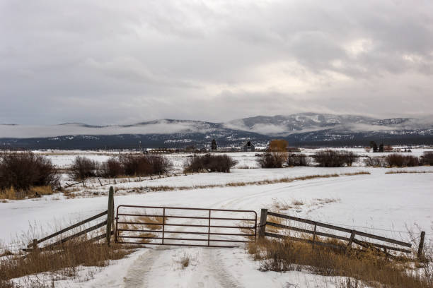metalowa brama przy wejściu do gospodarstwa ranczo z zaśnieżonymi pastwiskami i mgłą okrytą pasmem górskim w pochmurny dzień - mountain montana mountain peak mountain range zdjęcia i obrazy z banku zdjęć