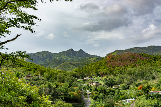 istock Puerto Rico - Green Mountains 1209537621