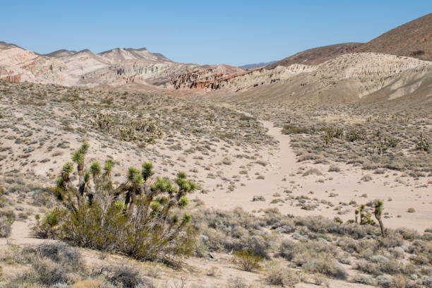istock Iron Canyon Road - Red Rock Canyon State park 1209537663