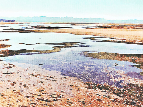 This is my Photographic Image of a Seascape Horizon at Lowtide in a Watercolour Effect. Because sometimes you might want a more illustrative image for an organic look. The image was taken in Pohara Beach, Near Takaka, in the Tasman District of New Zealand's South Island.