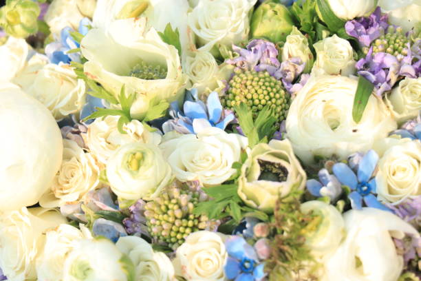 istock White and blue wedding flowers 1209551776