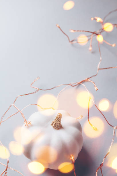 istock Decorative pumpkin on the grey paper background with holiday copper lights garland. Fall, gifting and Thanksgiving concept 1209552410