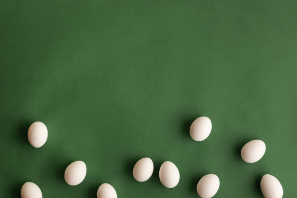 istock White hen eggs on dark olive green background 1209552536