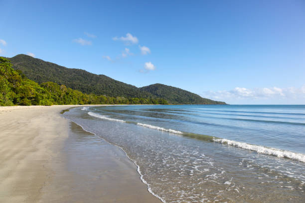 istock Cape Tribulation - Daintree Queensland Australia 1209553275