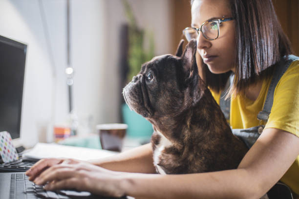 istock Young woman studying at home 1209553615