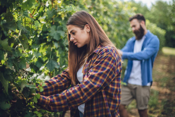 istock Young love in the countryside 1209553630